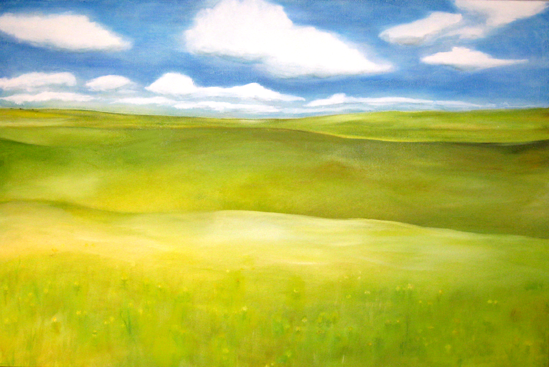 green grass and billowing blue sky