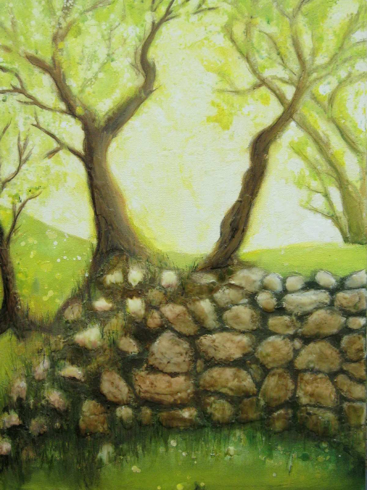 Trees and Stone Wall in Morning Light