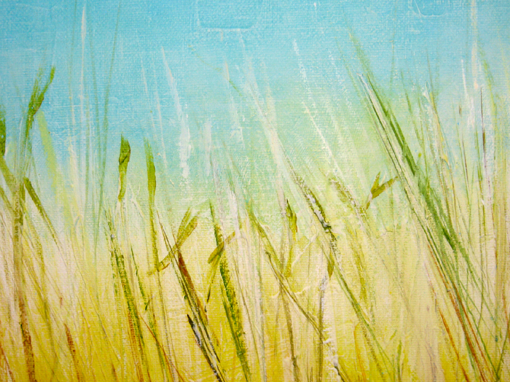 wheat and clear blue sky