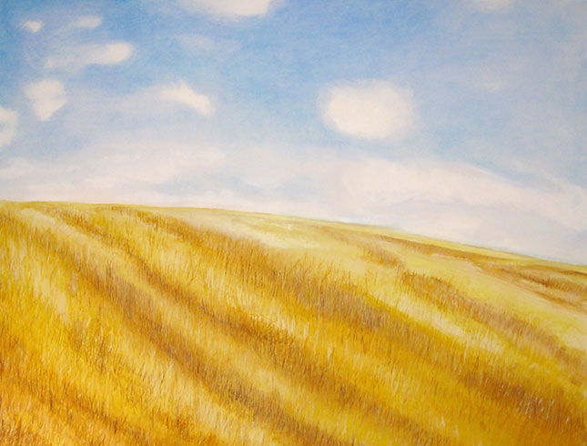 wheat field and rolling sky