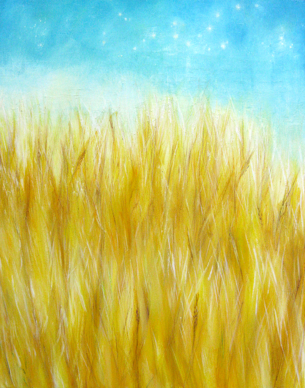 wheat and sparkling blue sky